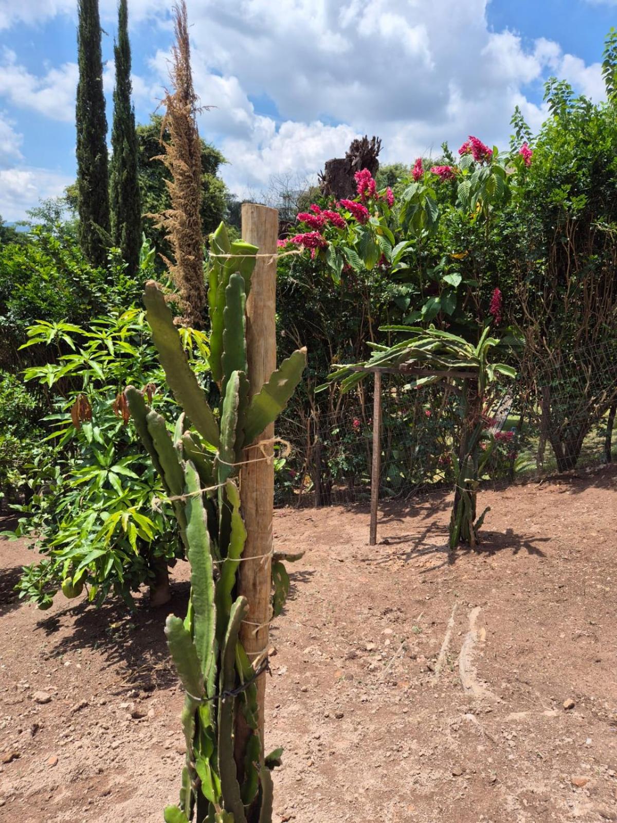 Pousada Verde Villas Brumadinho Extérieur photo